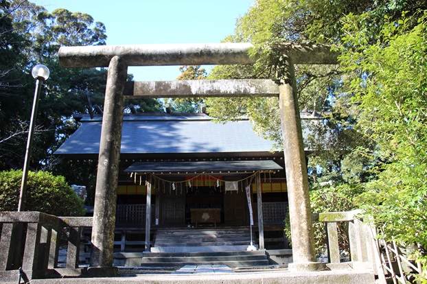 Thumbnail of post image 174